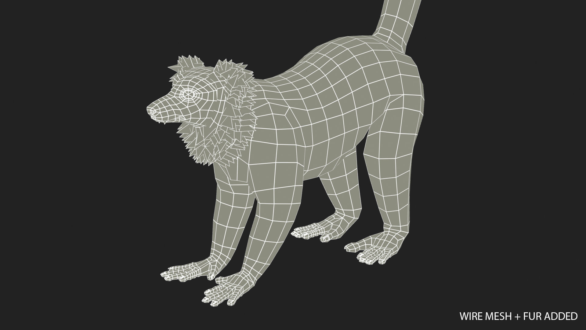 Hills Ruffed Lemur Low-poly 3D model_19