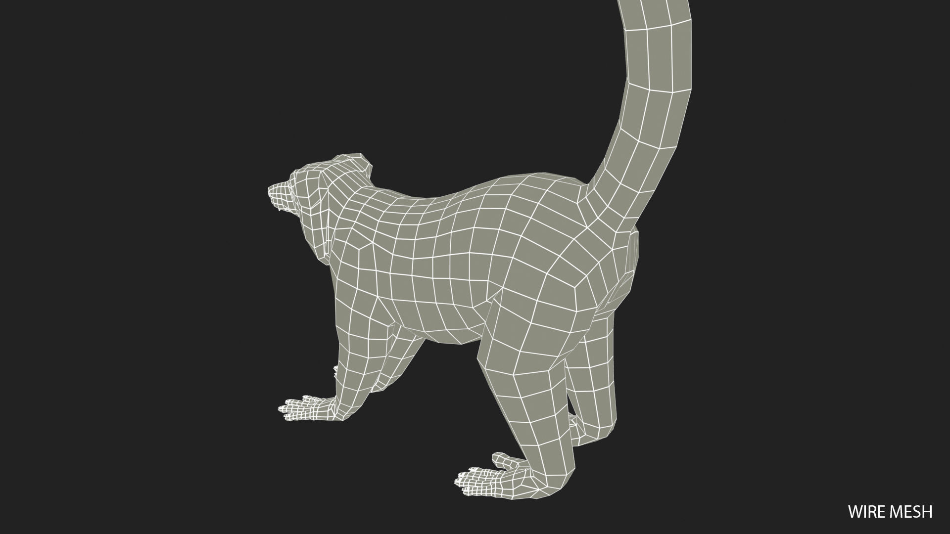 Hills Ruffed Lemur Low-poly 3D model_18