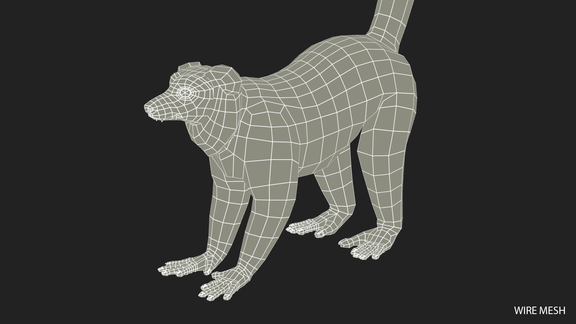 Hills Ruffed Lemur Low-poly 3D model_20