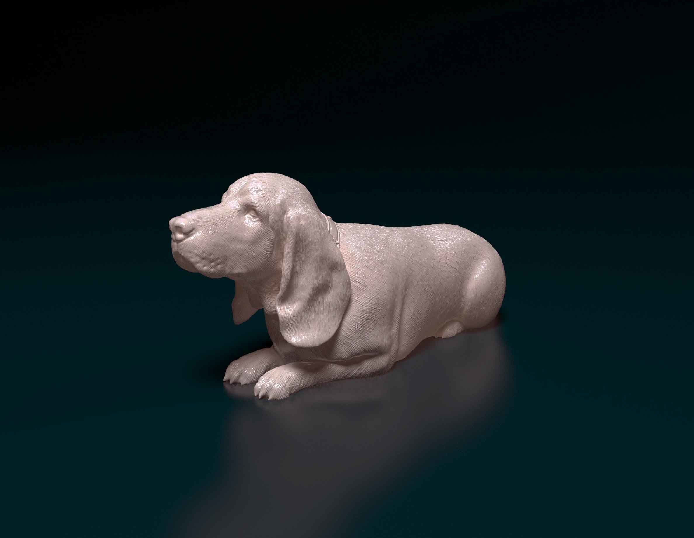 Basset Hound 3D print model_6