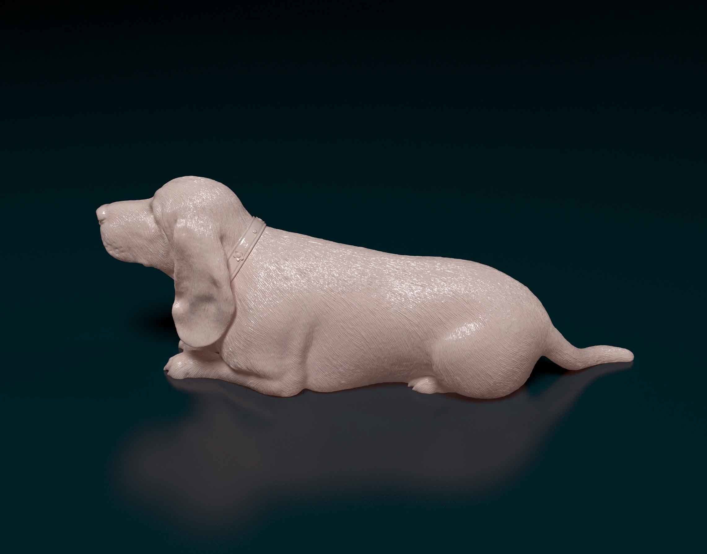 Basset Hound 3D print model_5