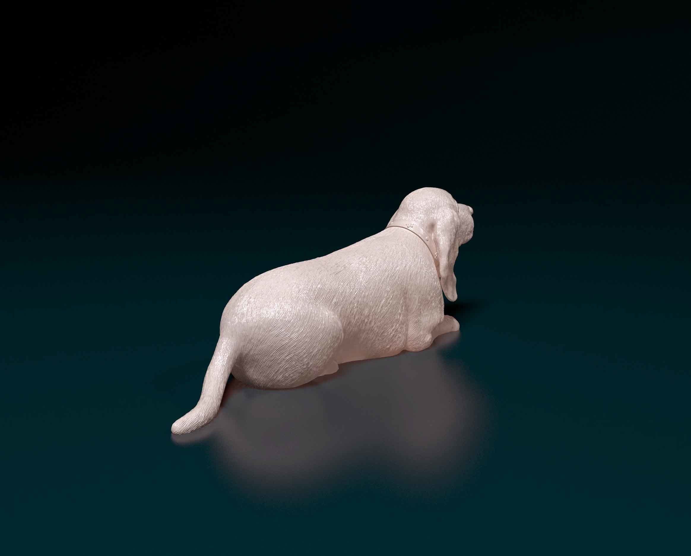 Basset Hound 3D print model_2