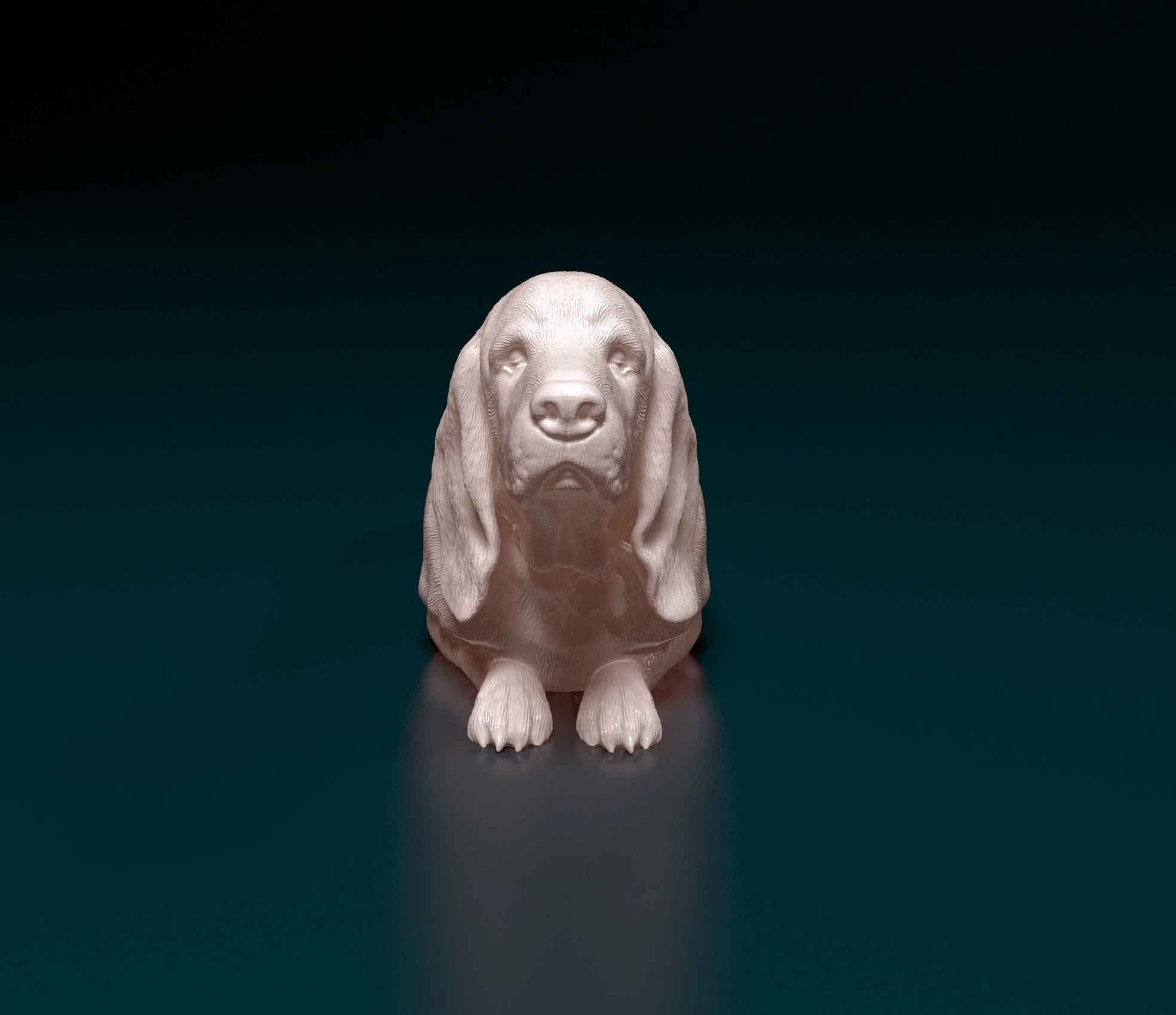 Basset Hound 3D print model_7
