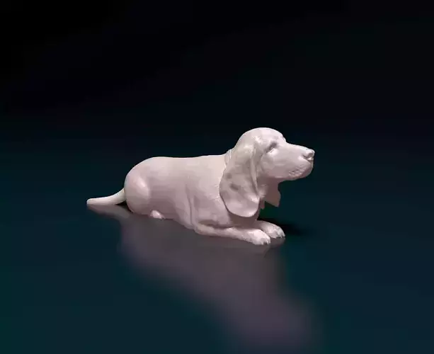 Basset Hound 3D print model