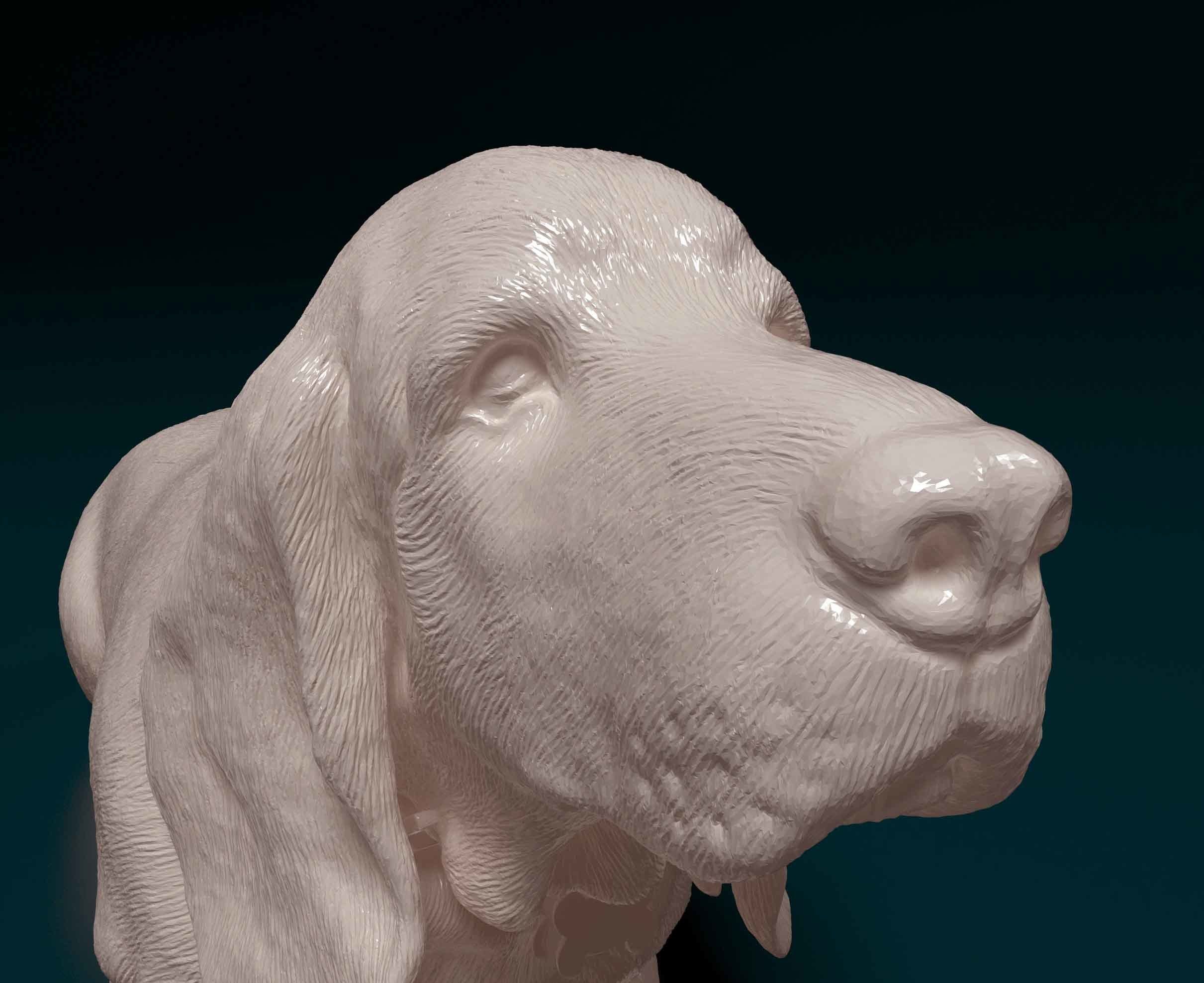 Basset Hound 3D print model_8