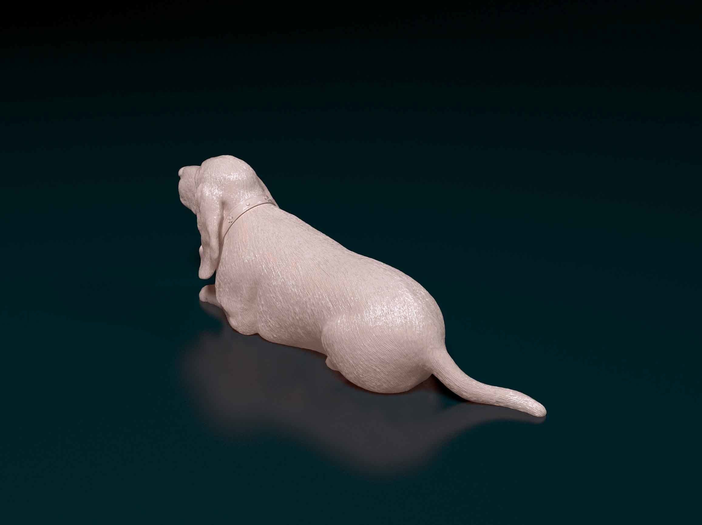 Basset Hound 3D print model_4