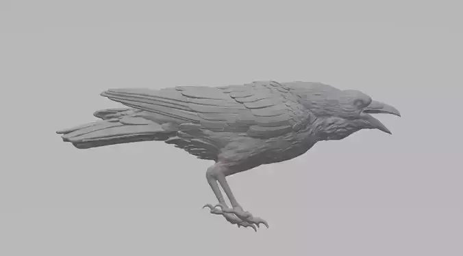 Crow 3D Model raven 3D print model