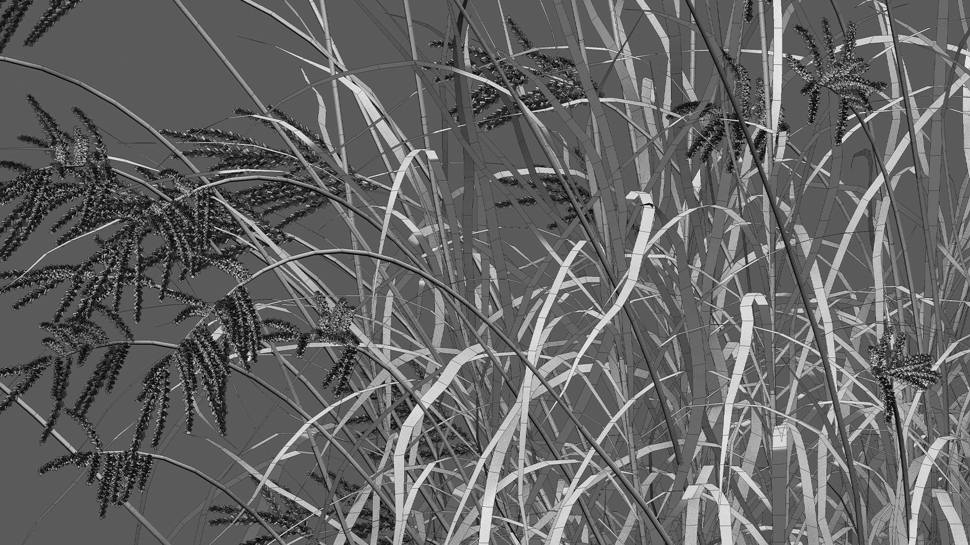 Miscanthus sacchariflorus - Silvergrass 03 3D model_11