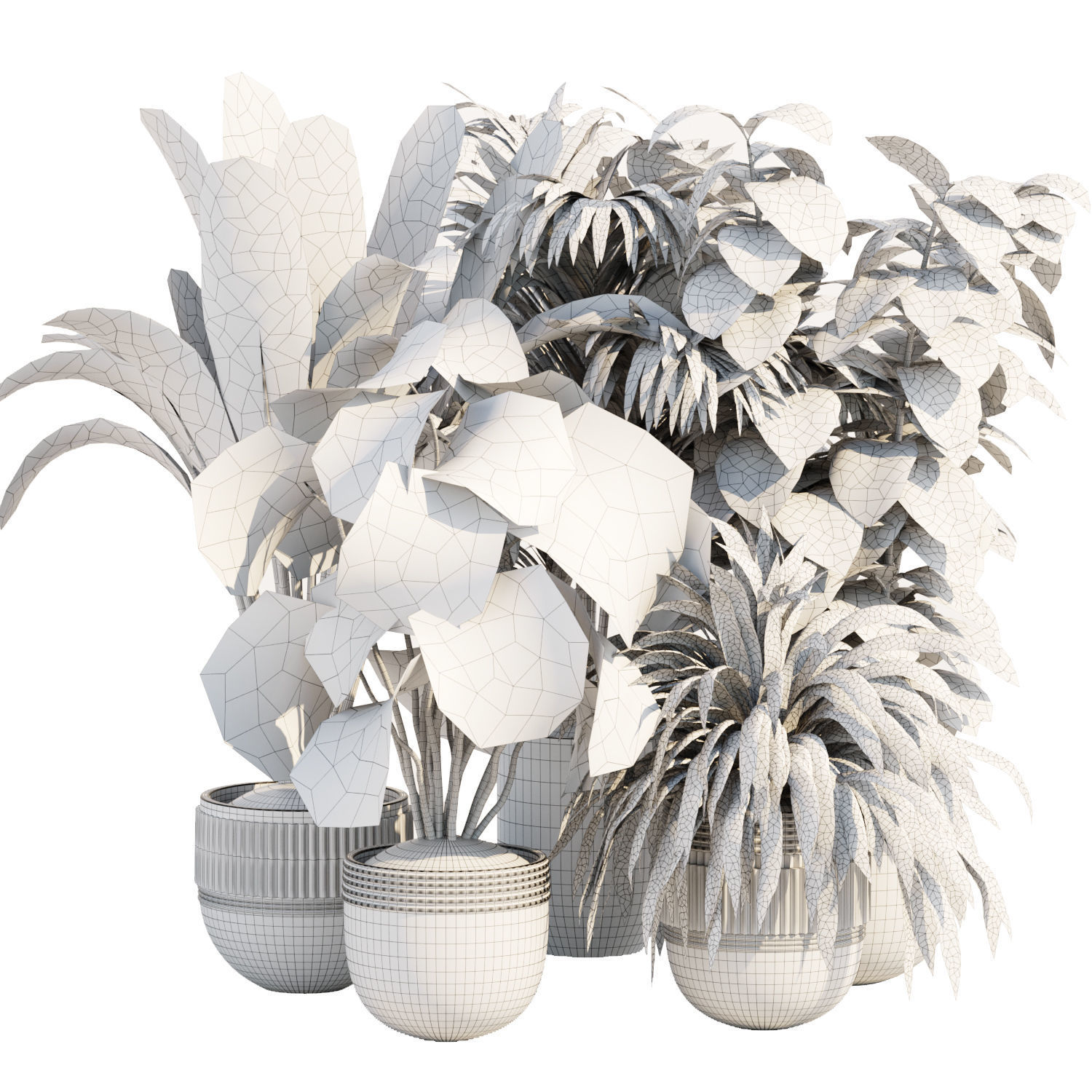 Collection of plants vol 3 3D Models  _17