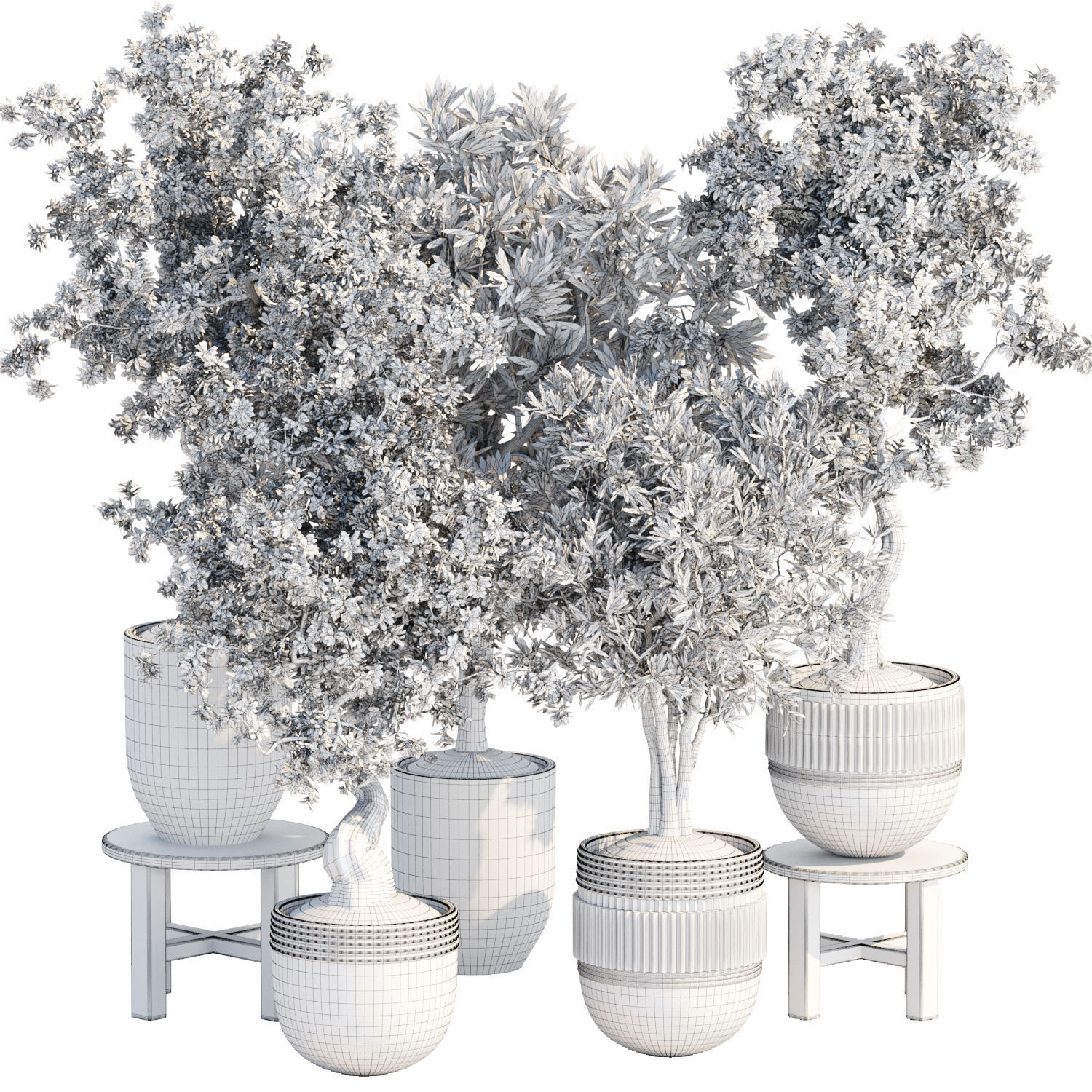 Collection of plants vol 3 3D Models  _20