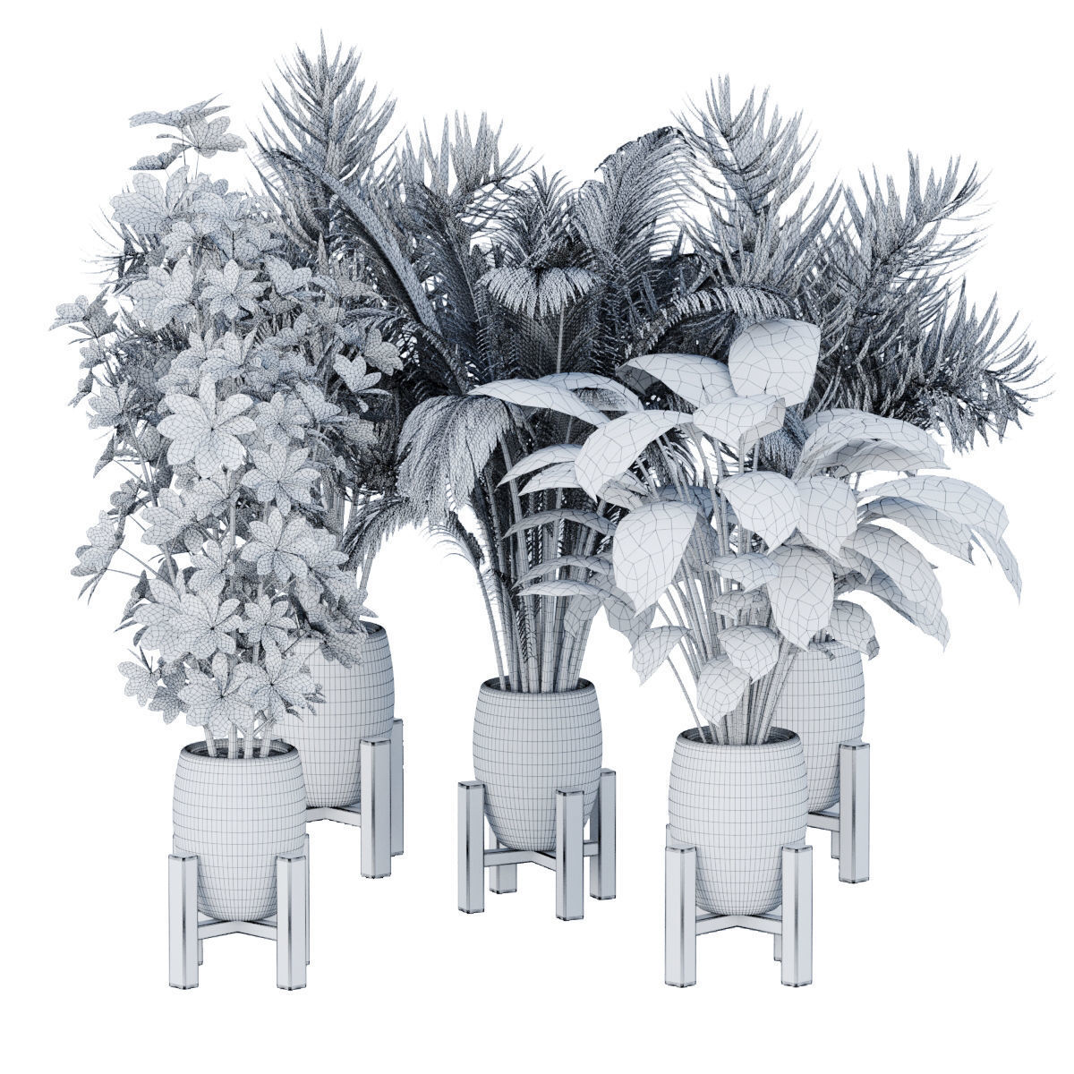 Collection of plants vol 3 3D Models  _19
