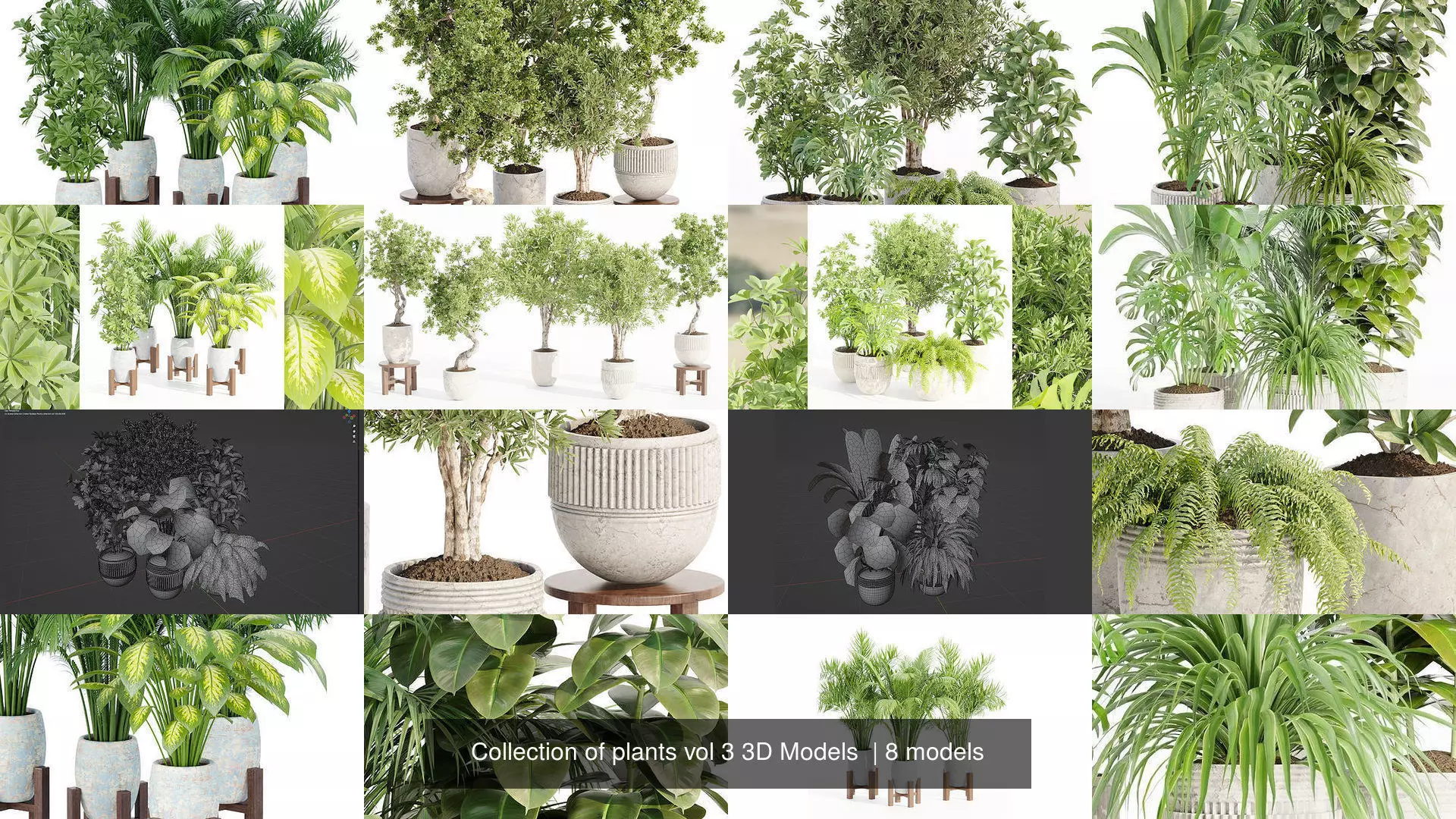 Collection of plants vol 3 3D Models  _1