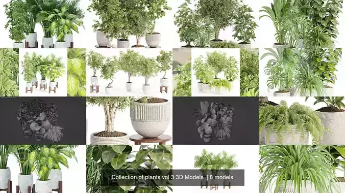 Collection of plants vol 3 3D Models 