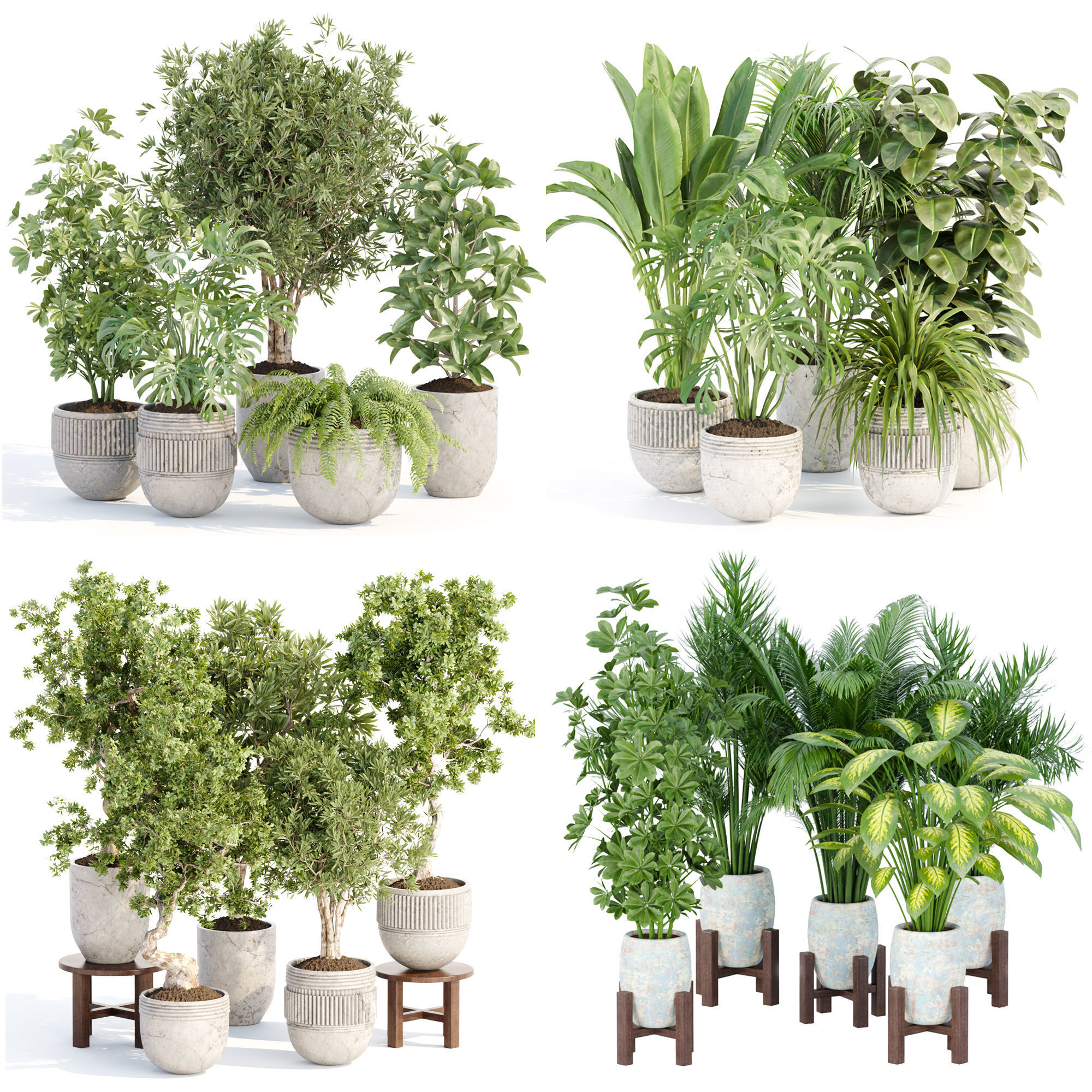 Collection of plants vol 3 3D Models  _0