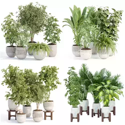 Collection of plants vol 3 3D Models  