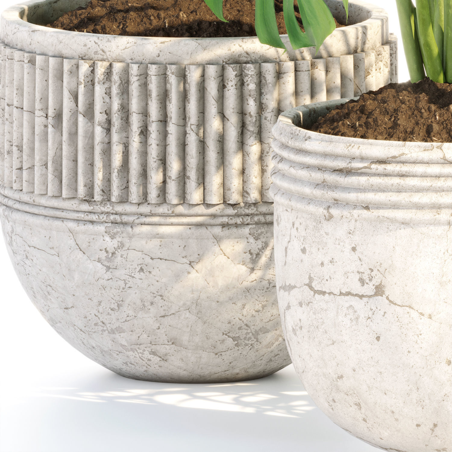 Collection of plants vol 3 3D Models  _10