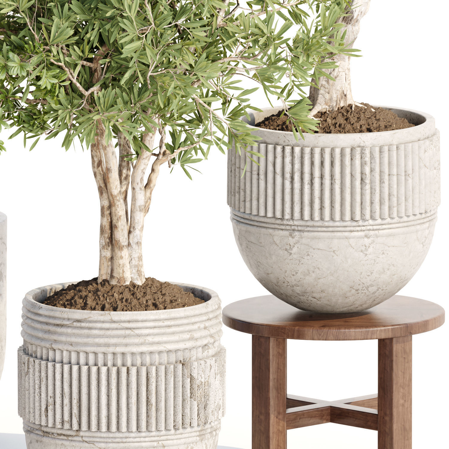 Collection of plants vol 3 3D Models  _11