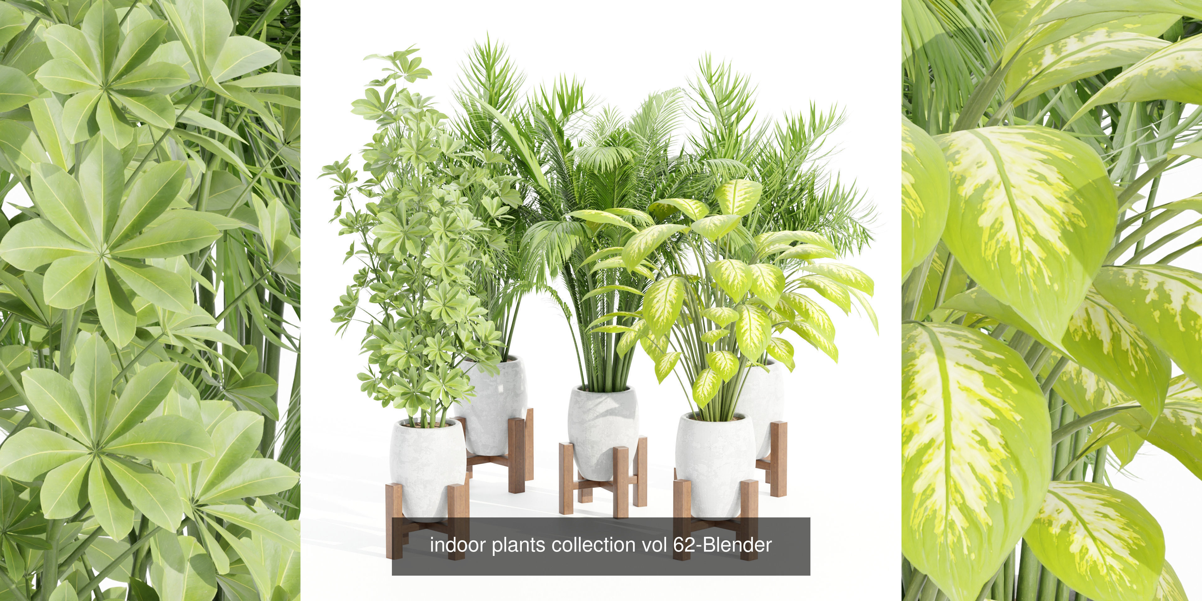 Collection of plants vol 3 3D Models  _2