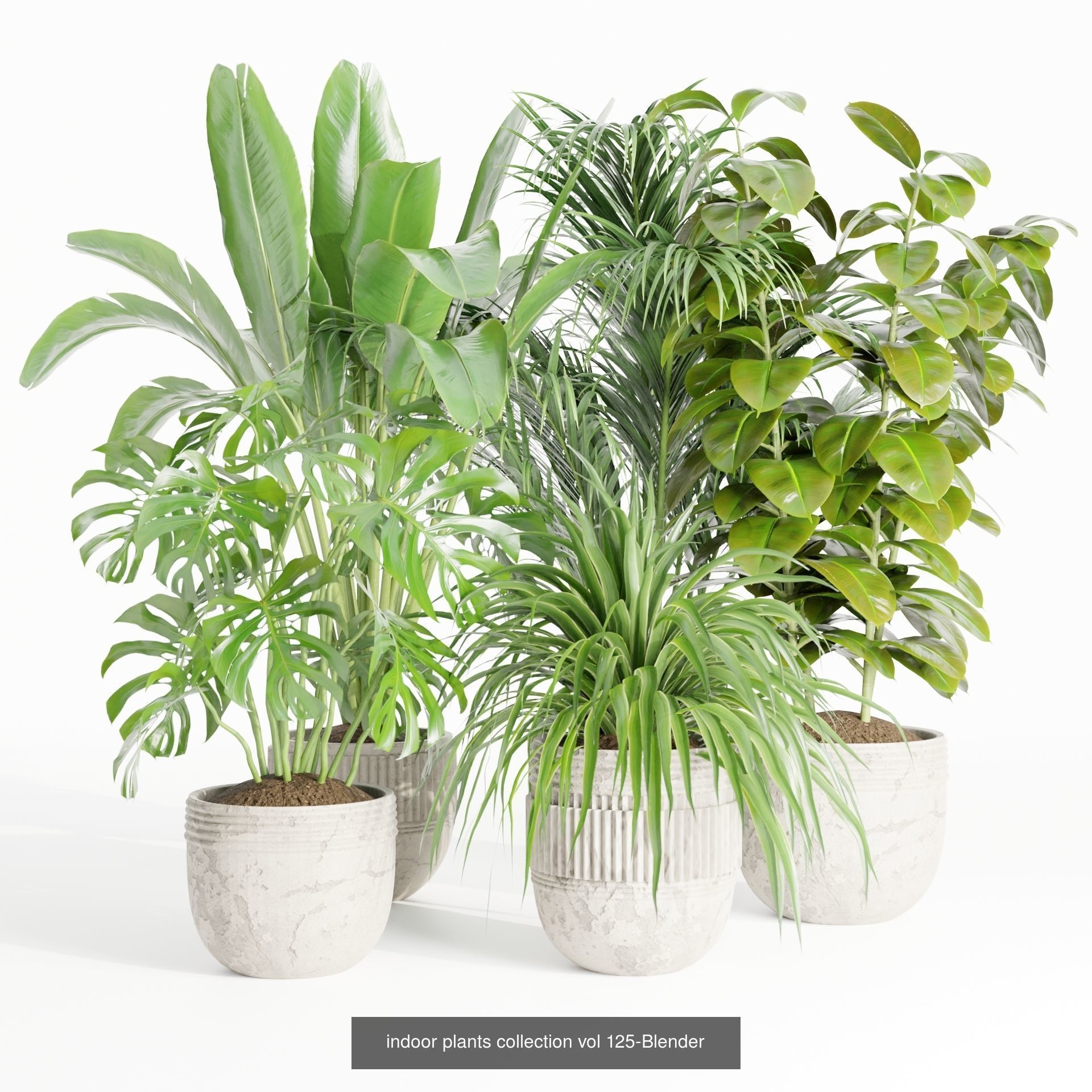 Collection of plants vol 3 3D Models  _7