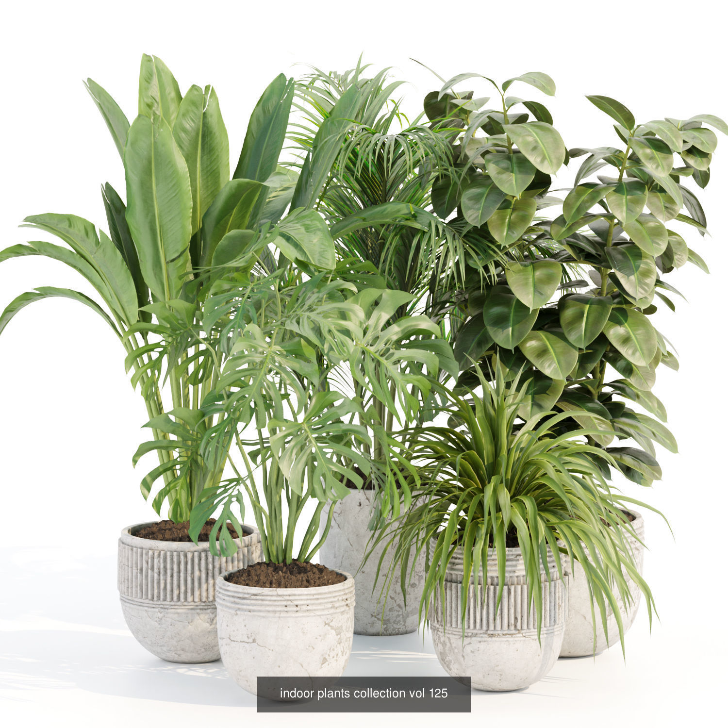 Collection of plants vol 3 3D Models  _6