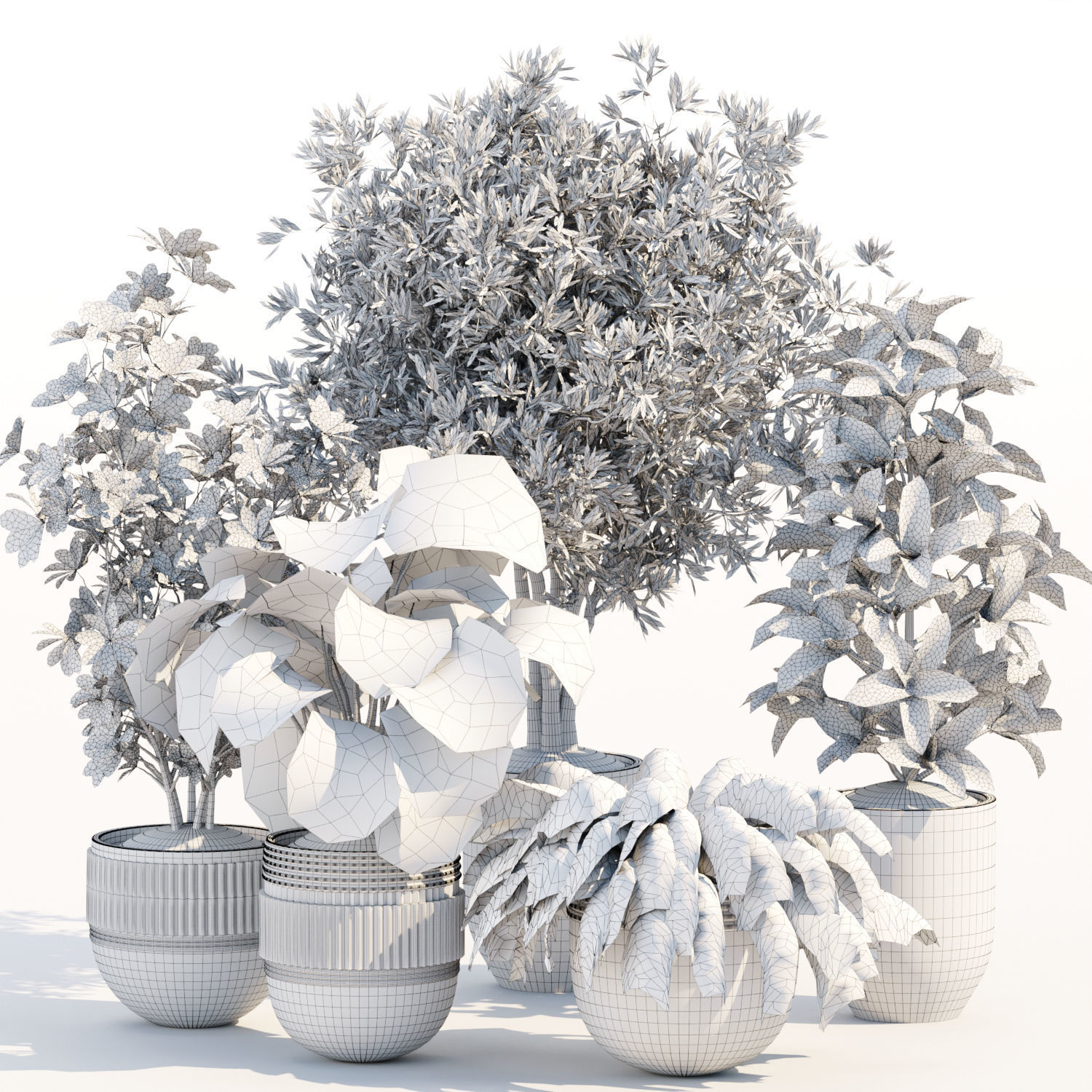 Collection of plants vol 3 3D Models  _18