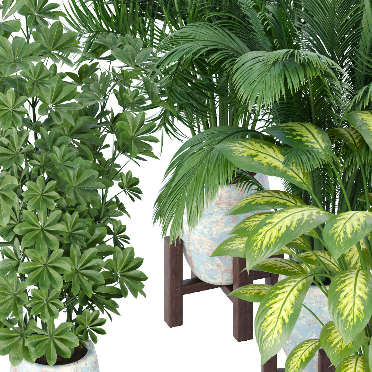 Collection of plants vol 3 3D Models  _16