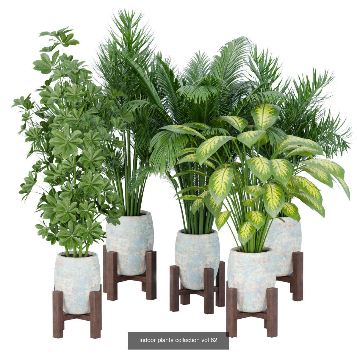Collection of plants vol 3 3D Models  _8