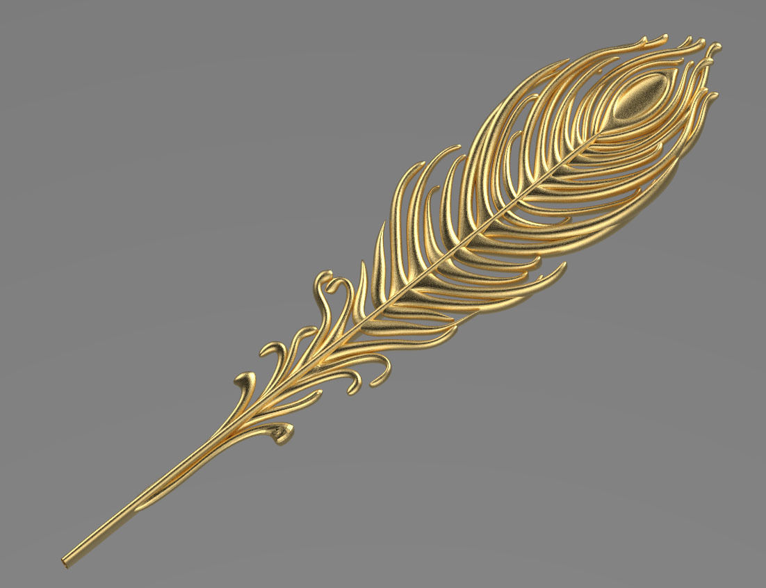 feather of peacock 3D print model_3
