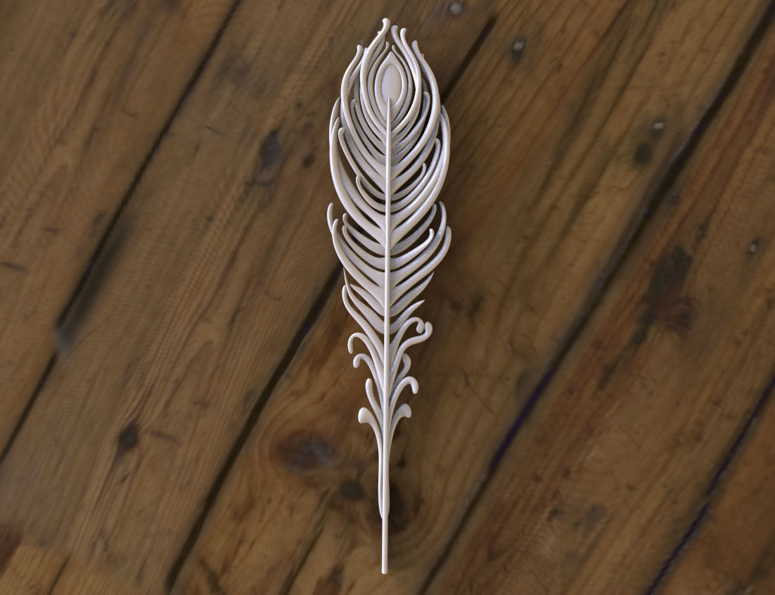 feather of peacock 3D print model_2