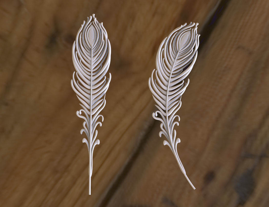 feather of peacock 3D print model_26