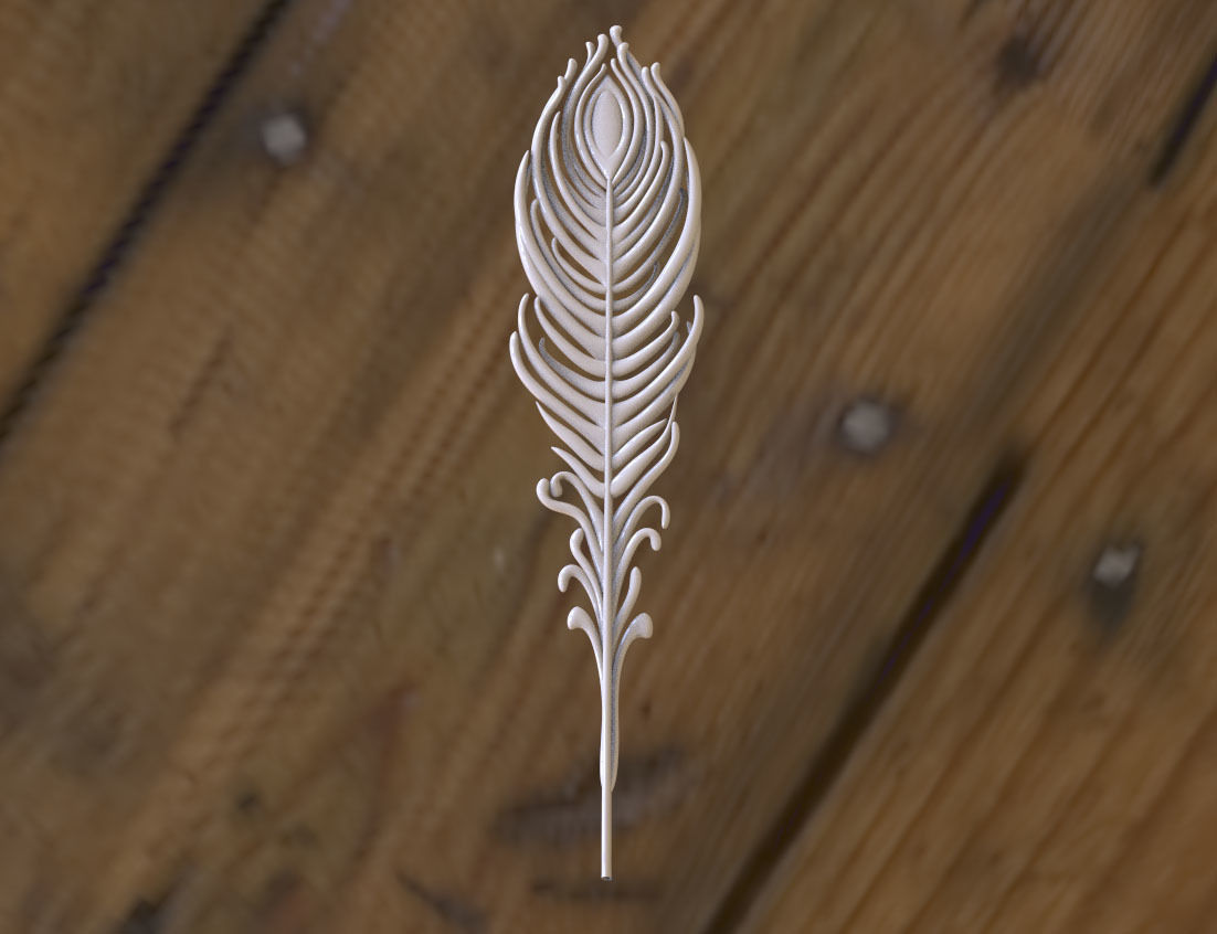 feather of peacock 3D print model_19