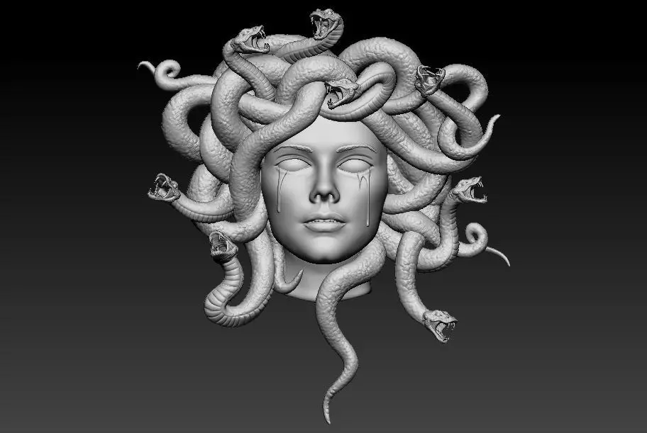 Medusa Face 3D print model_0