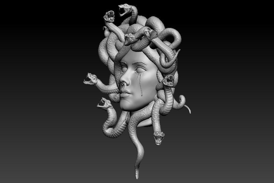 Medusa Face 3D print model_3