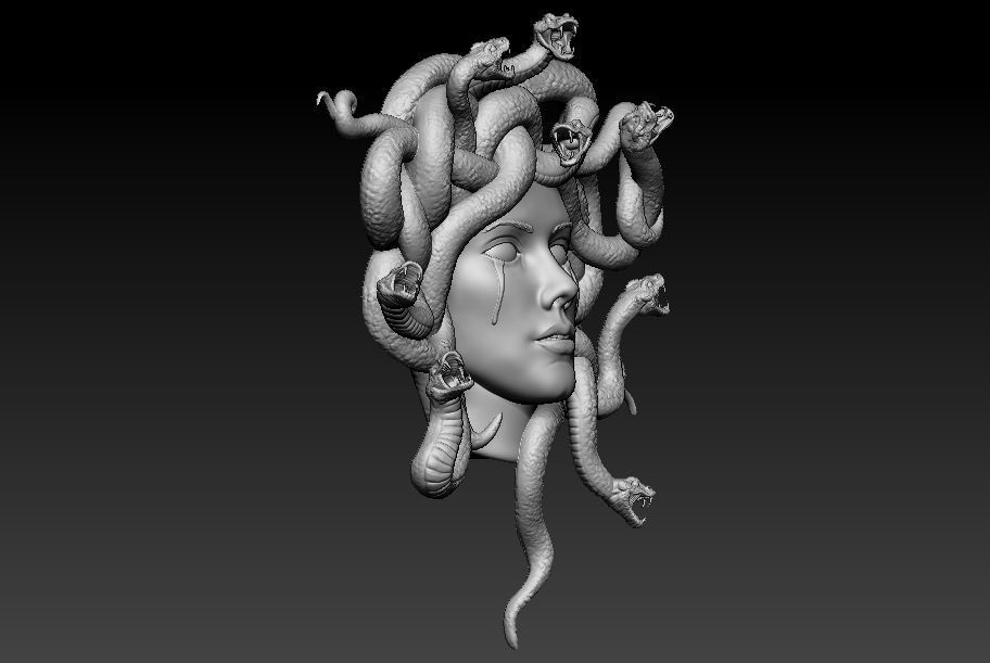 Medusa Face 3D print model_1