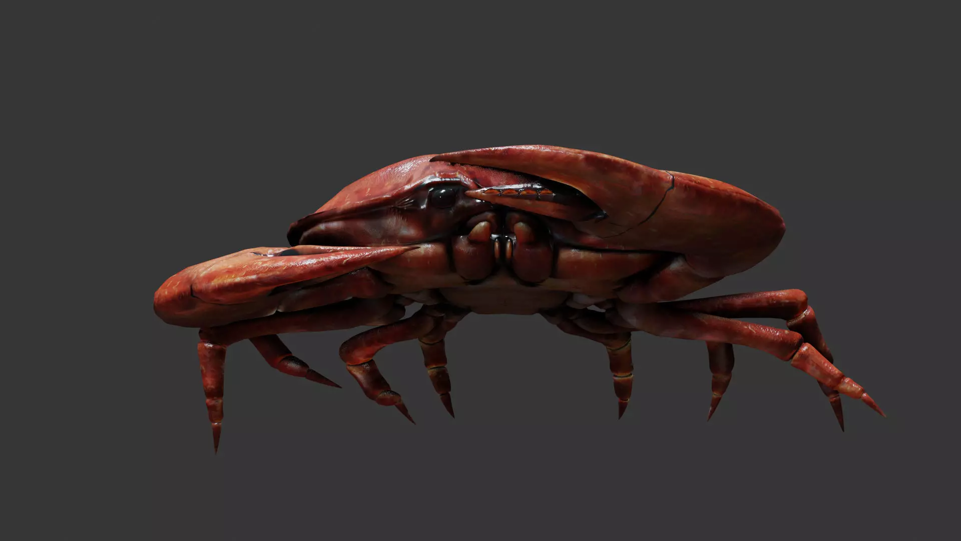 Crab animated walkcycle Low-poly 3D model_0