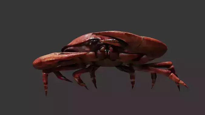Crab animated walkcycle