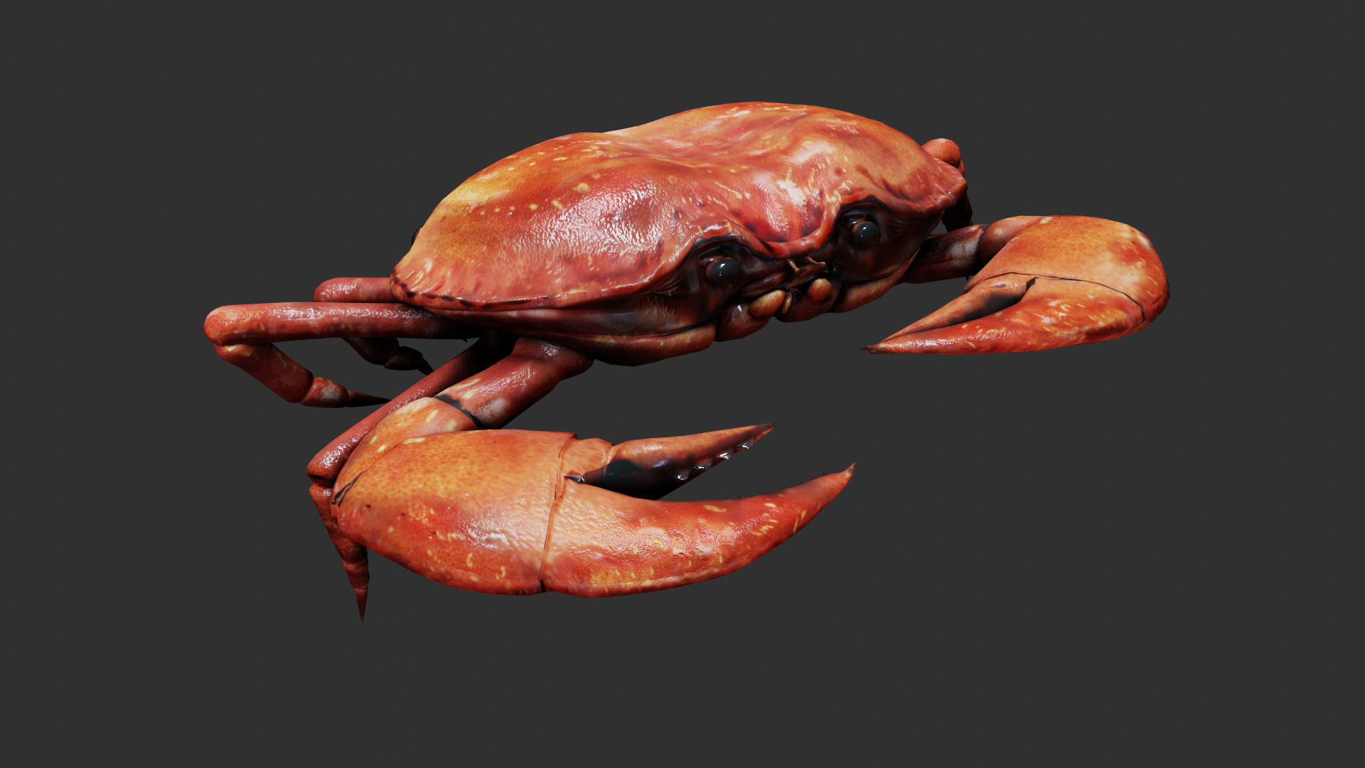Crab animated walkcycle Low-poly 3D model_2