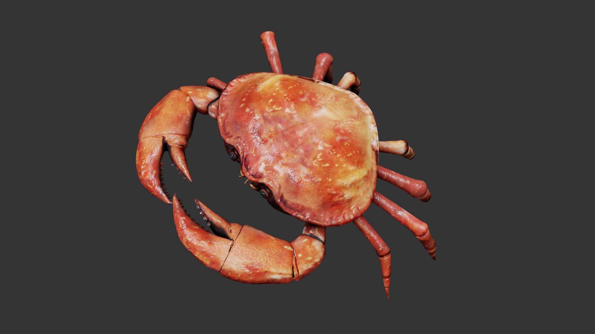 Crab animated walkcycle Low-poly 3D model_4