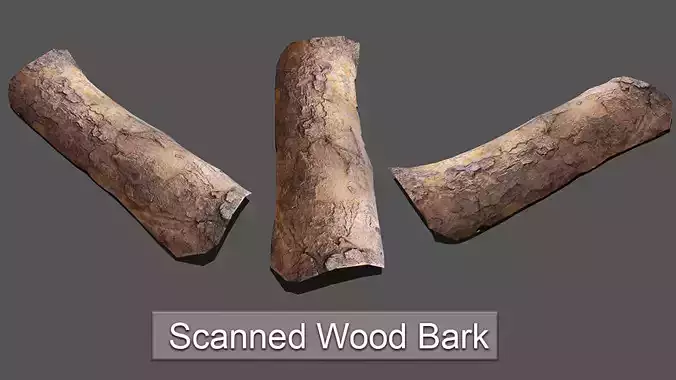 Wood Bark Low Poly Low-poly 3D model