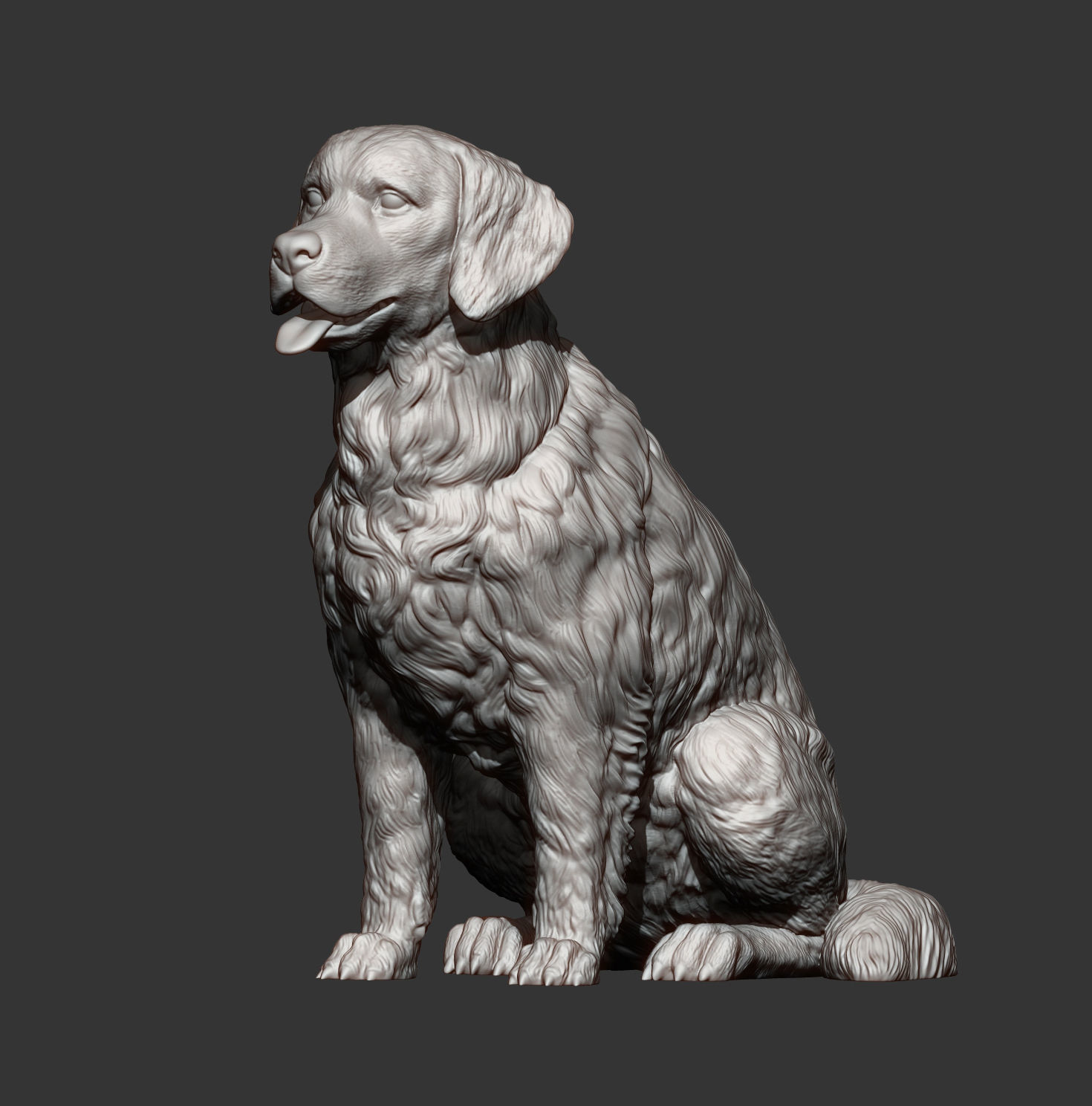 Golden retriever 3D print model_10