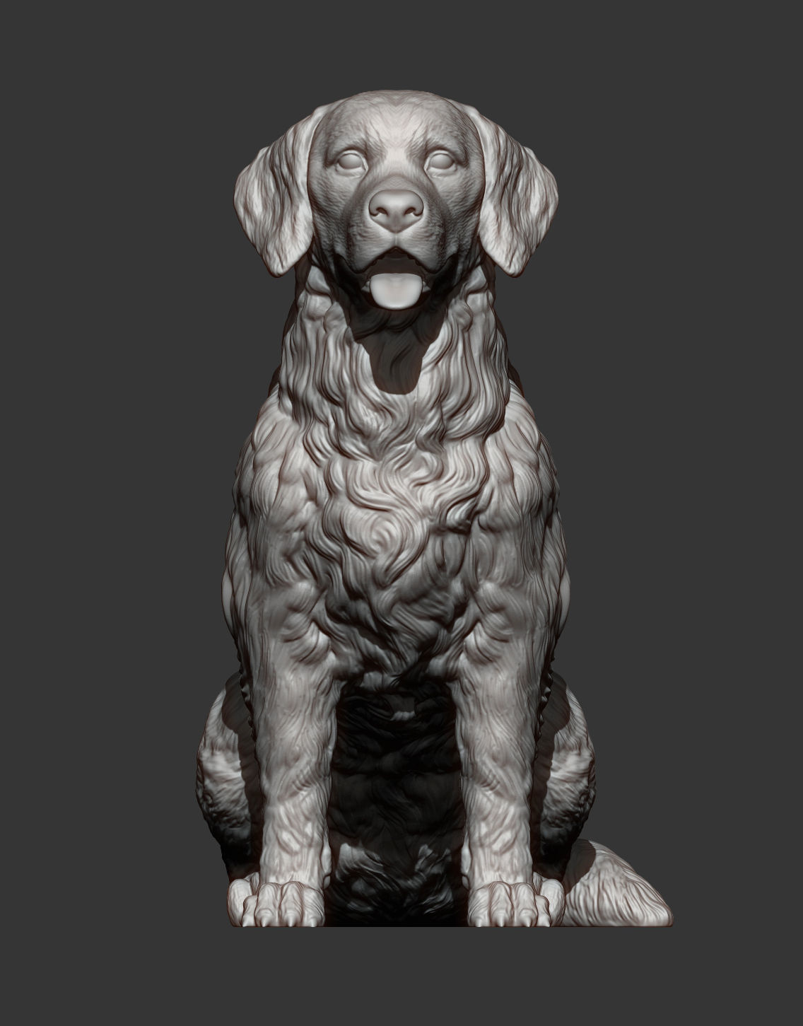 Golden retriever 3D print model_11