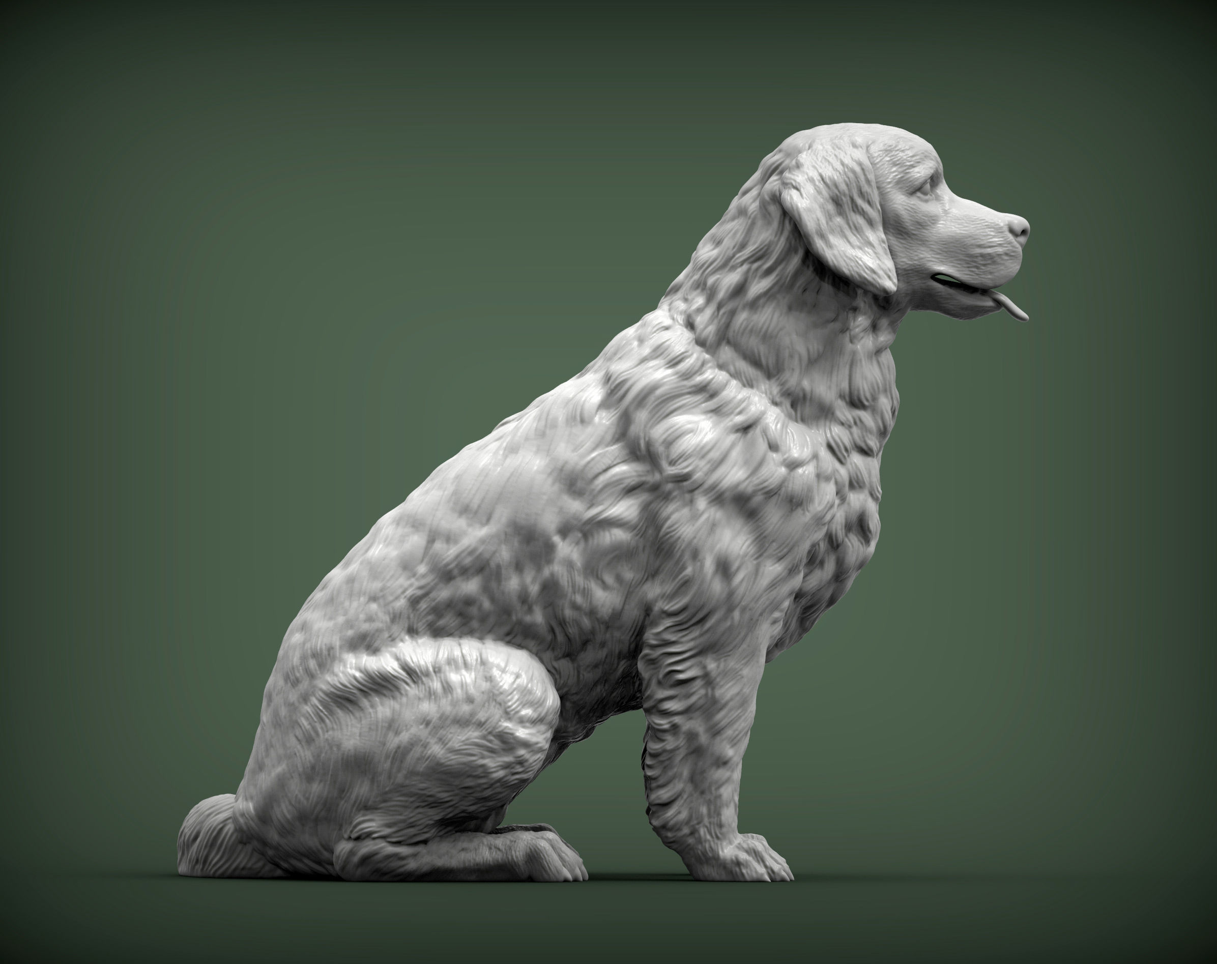 Golden retriever 3D print model_5