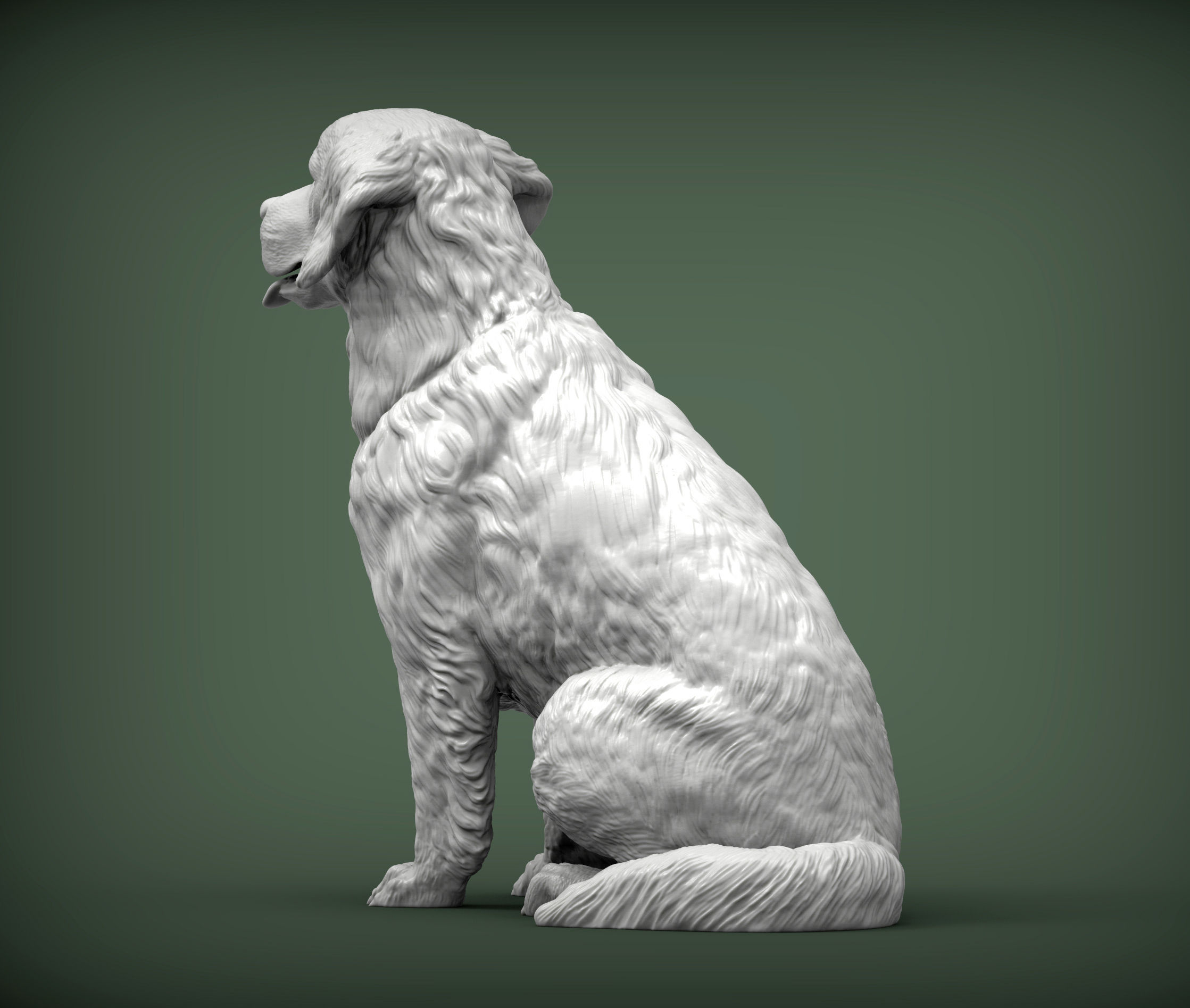 Golden retriever 3D print model_2
