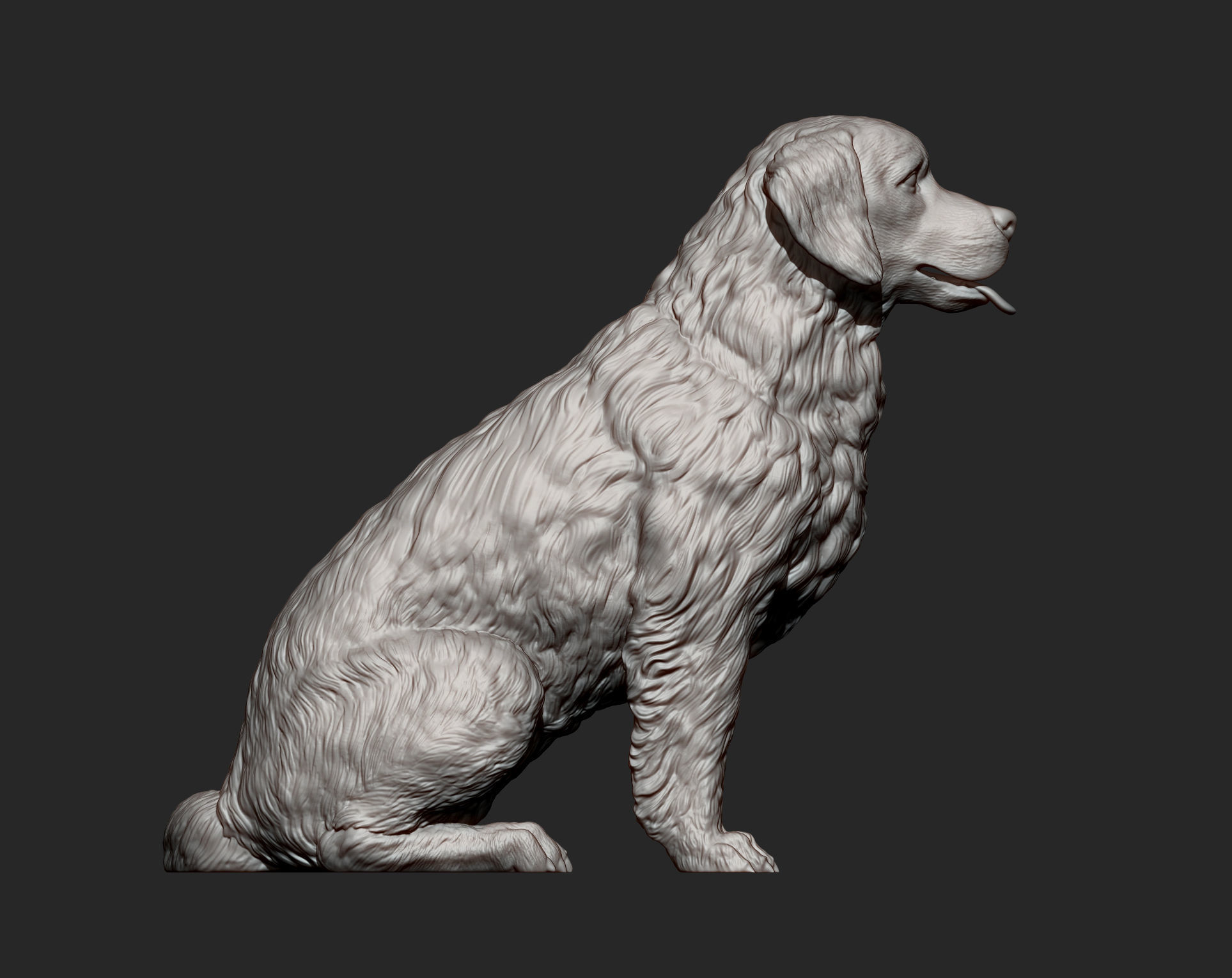 Golden retriever 3D print model_9
