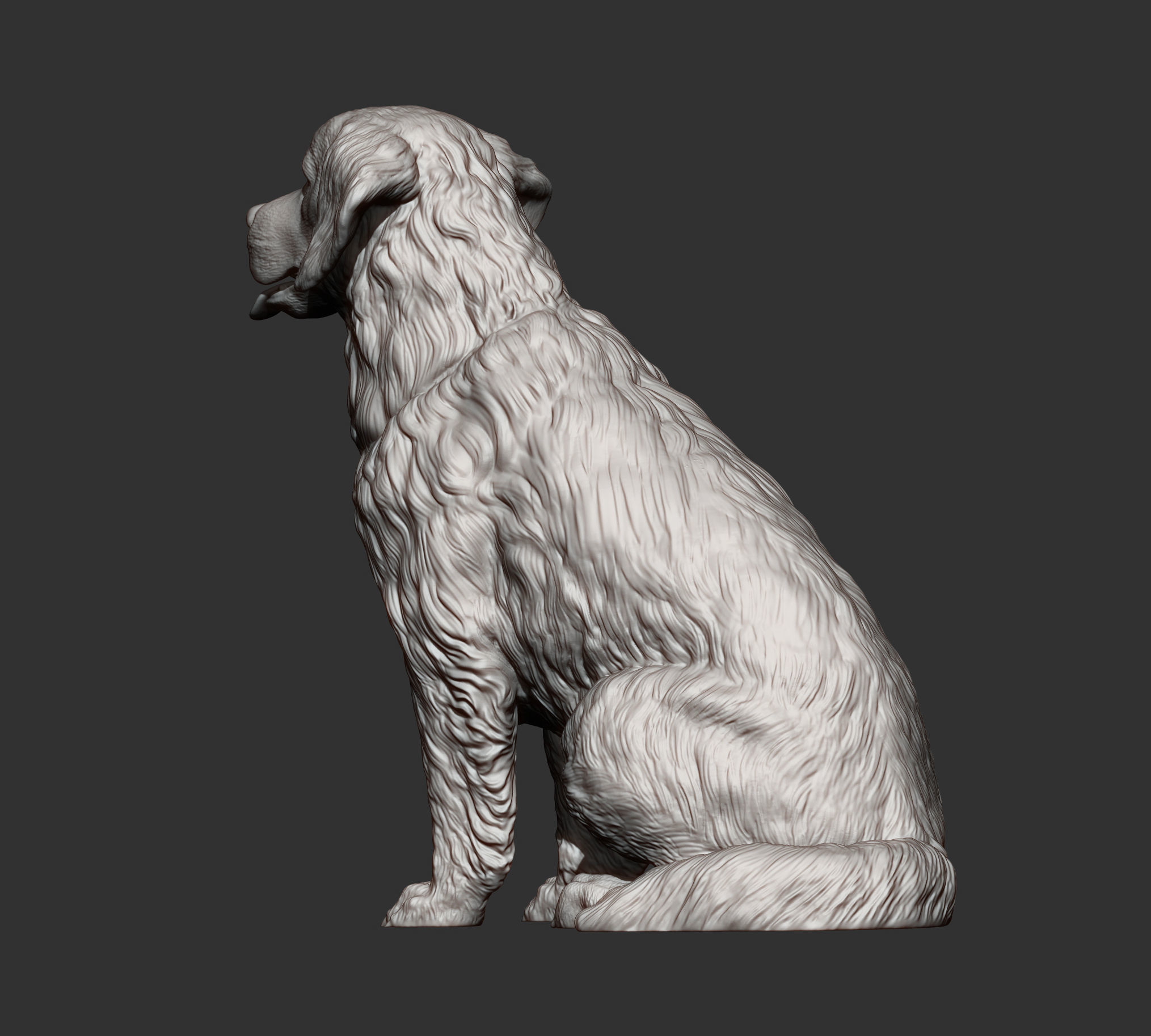 Golden retriever 3D print model_7
