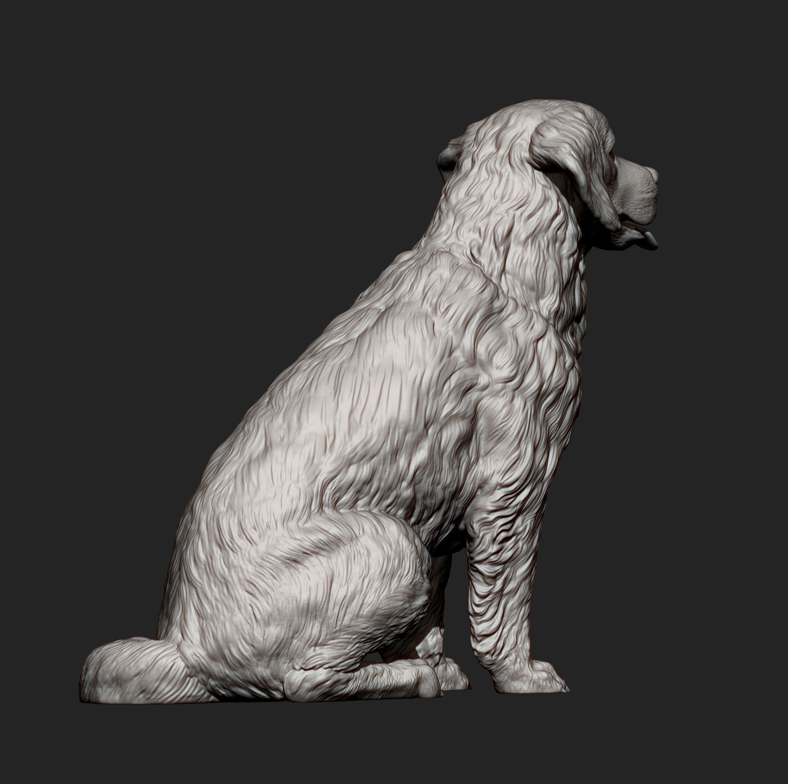 Golden retriever 3D print model_8