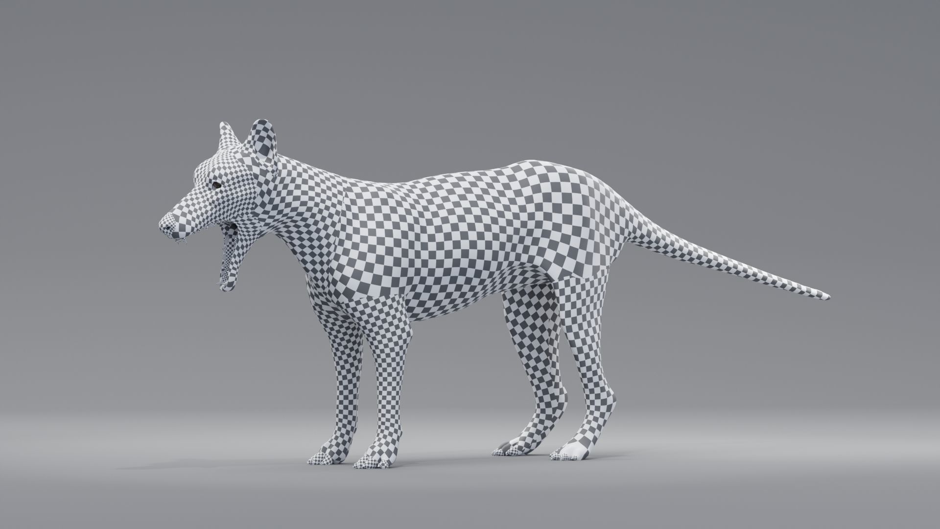 tylacine marsupial wolf Low-poly 3D model_3