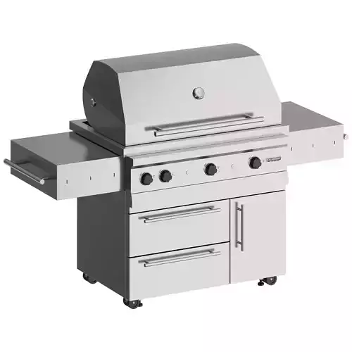Kalamazoo GAS GRILL Barbecue