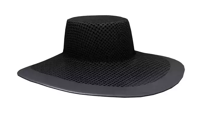 Black Floppy Hat