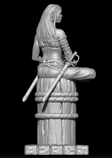 Female Pirate 3D print model_3